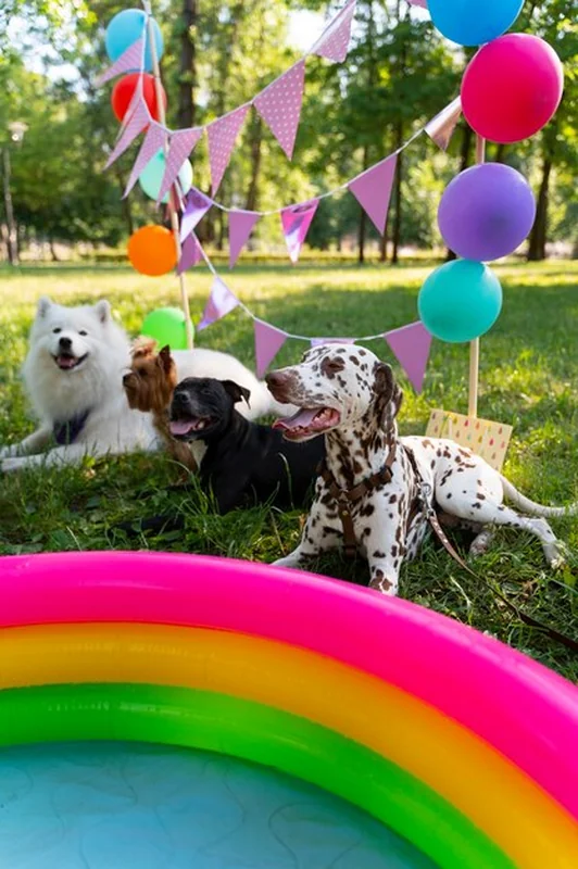Basenowe przyjęcie urodzinowe dla psów